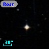 Ross  277