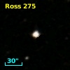 Ross  275