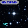 HD 236949