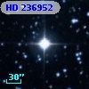 HD 236952