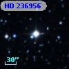 HD 236956