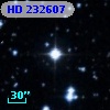 HD 232607