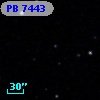 PB  7443