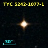 TYC 5242-1077-1