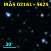 IRAS 02161+5625