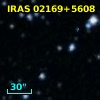IRAS 02169+5608