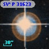 SV* P 31623