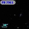 PB  7961