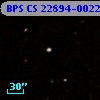 BPS CS 22894-0022