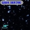LEDA  168286