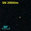 SN 2004im