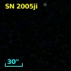 SN 2005ji