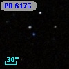 PB  8175