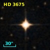 HD   3675