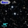 Ross  259