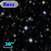 Ross  260