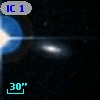 IC  119