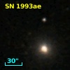 SN 1993ae