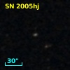 SN 2005hj