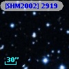 [SHM2002] 2919