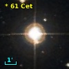 *  61 Cet