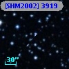 [SHM2002] 3919