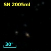 SN 2005ml