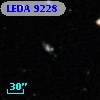 LEDA    9228