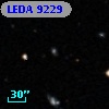 LEDA    9229