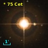*  75 Cet