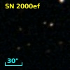 SN 2000ef