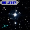 HD  15667
