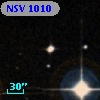 NSV  1010