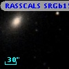 RASSCALS SRGb155