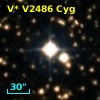 V* V2486 Cyg
