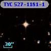 TYC  527-1181-1