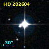 HD 202604