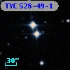 TYC  528-49-1