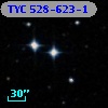 TYC  528-623-1