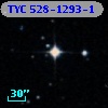 TYC  528-1293-1