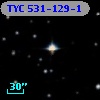 TYC  531-129-1