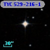 TYC  529-216-1