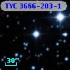 TYC 3686-203-1