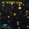 V* V1067 Cyg