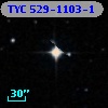 TYC  529-1103-1