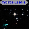 TYC  529-1116-1