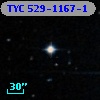 TYC  529-1167-1