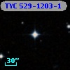 TYC  529-1203-1