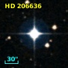 HD 206636