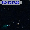PLX 5237.00